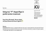 Using two “V” shaped flaps in penile torsion treatment